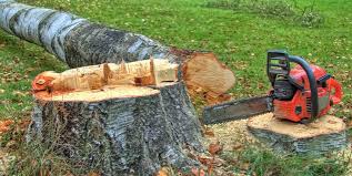 Best Emergency Tree Removal  in Brooklet, GA